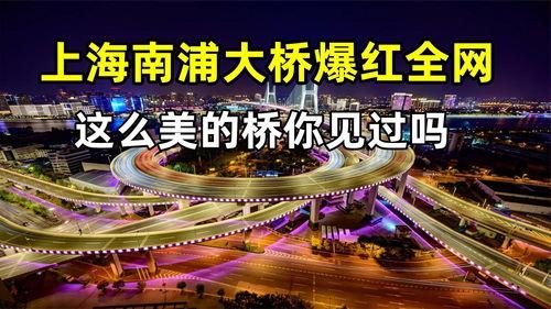玉圭园最新爆料视频播放,揭秘神秘视频背后的惊人真相